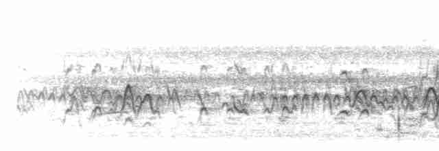 Cava Islıkçı Ördeği - ML617255136