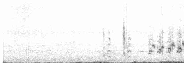 Фолклендский крапивник - ML617255239