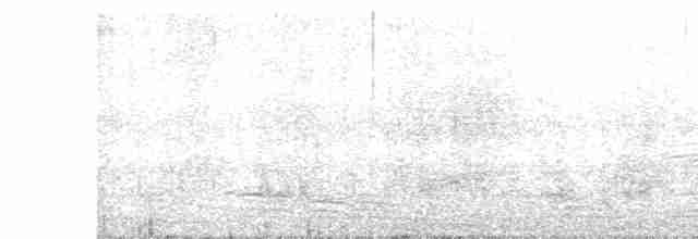 Фолклендский крапивник - ML617255240