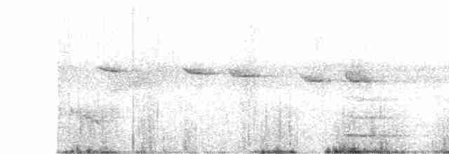 Gobemoustique à tête grise - ML617255276