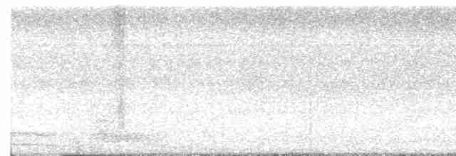 Alción de Esmirna - ML617255859