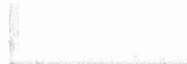 Білолобик чорносмугий - ML617256064