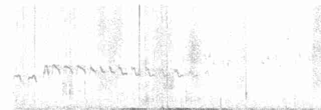 Білолобик чорносмугий - ML617256065
