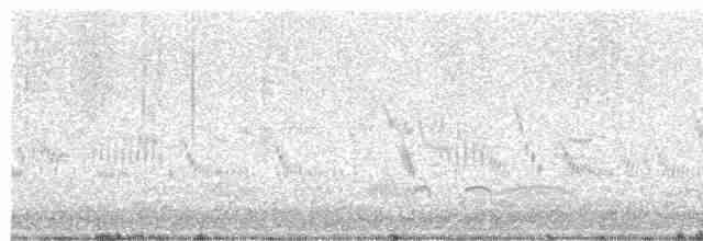 Little Ringed Plover - ML617256152