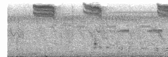 Gözlüklü Drongo Sinekkapanı - ML617257142