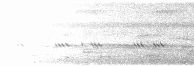 Изменчивый хохлатый орёл (cirrhatus/ceylanensis) - ML617257287