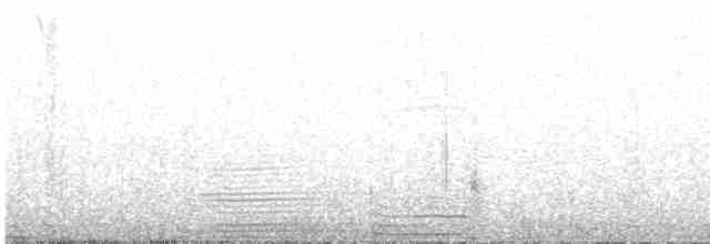 Вівсянчик сіроголовий - ML617258135