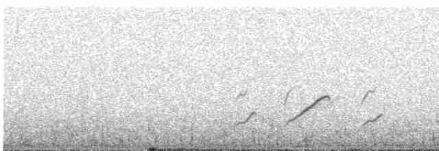White-tailed Shrike-Tyrant - ML617258346
