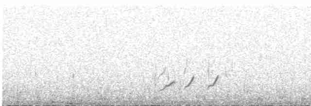 White-tailed Shrike-Tyrant - ML617258347