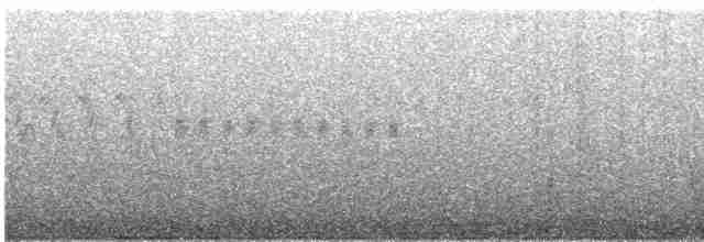 Mirlo Acuático Coroniblanco - ML617258722