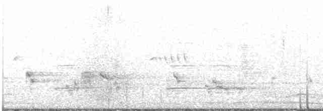 Kestane Kanatlı Tepeli Guguk - ML617260899