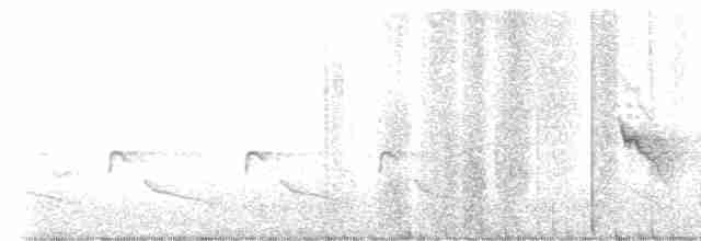 Vireo Ojiblanco (grupo griseus) - ML617261262