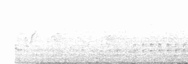 Шилоклювый дятел (auratus/luteus) - ML617262674