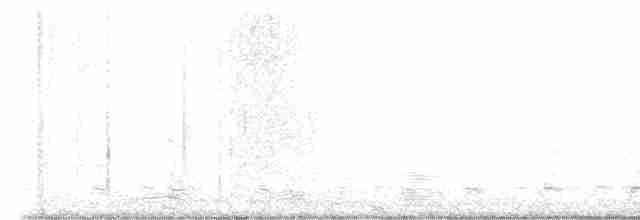 Белогорлая зонотрихия - ML617262855