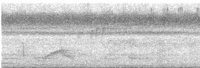 Rufescent Tiger-Heron - ML617263082