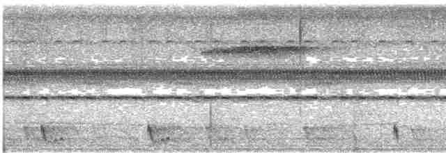 Large-tailed Nightjar - ML617264191