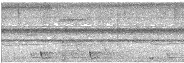 Large-tailed Nightjar - ML617264193