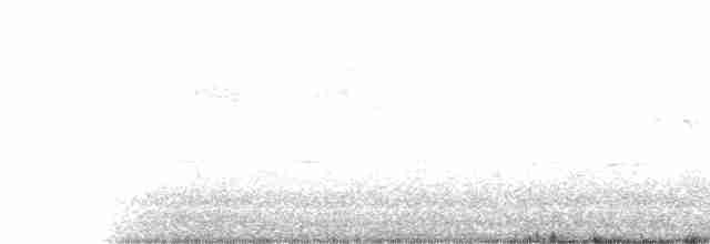 Common Yellowthroat - ML617264937