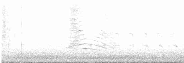 Пересмішник сірий - ML617266404