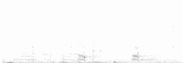 Юнко сірий [група oreganus] - ML617269308