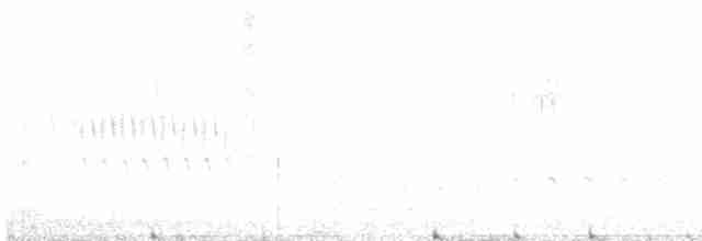 Юнко сірий [група oreganus] - ML617269820