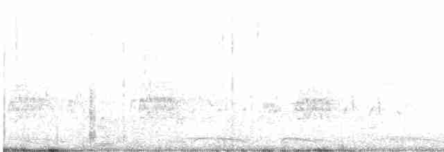 holoubek mexický - ML617270206