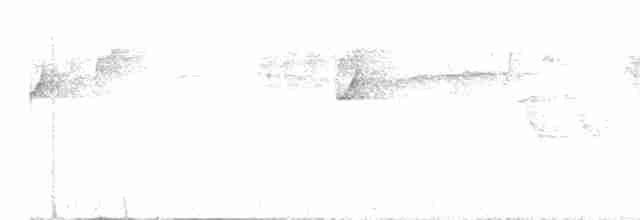Красноголовая короткохвостка - ML617270950