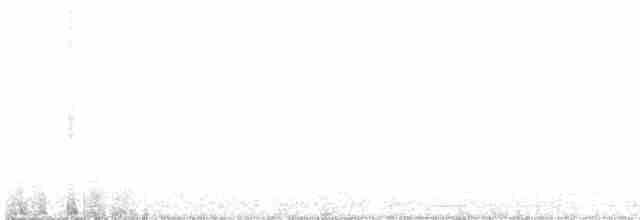 Шишкар ялиновий - ML617271326