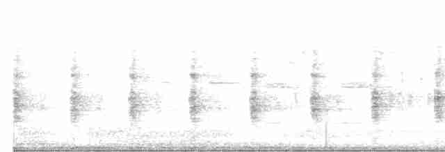Rascón de Ridgway (yumanensis) - ML617271363