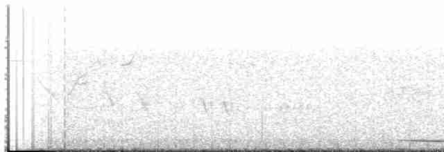 Tinamou noctivague (zabele) - ML617271419