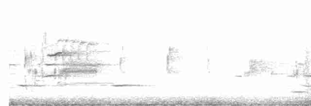 Carouge à épaulettes (groupe phoeniceus) - ML617271594