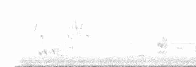 Тремблер прямодзьобий - ML617272232