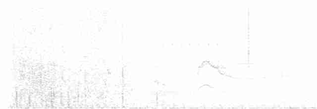 Kara Karınlı Karıncakuşu - ML617273865