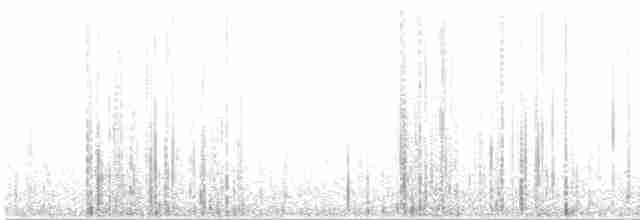 Bihoreau gris (nycticorax) - ML617274336