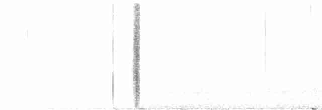 Синиця ялівцева - ML617275214