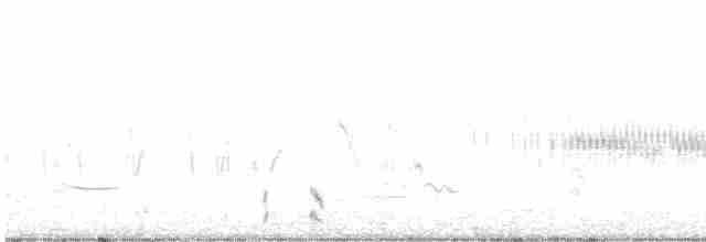 חרגולן זמירי - ML617275233