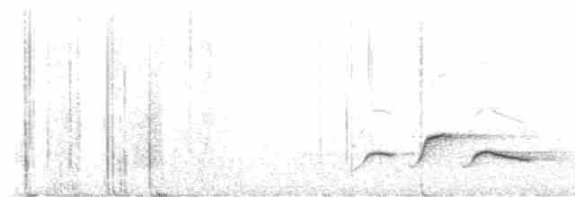 White-breasted Wood-Wren (Cherrie's) - ML617275304
