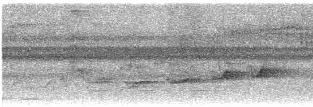 Серогрудый тенелюб - ML617275761