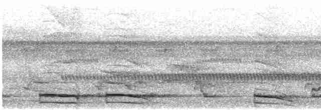 Carnifex de Buckley - ML617276142