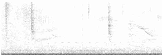 Тауї плямистий - ML617279103