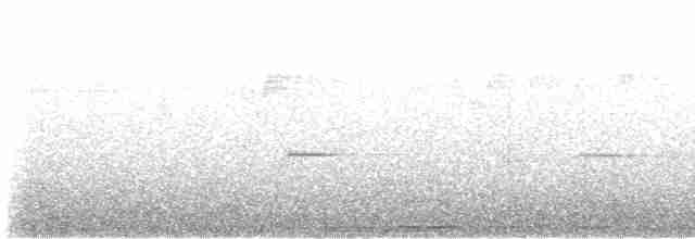 Талпакоті сірий - ML617280021