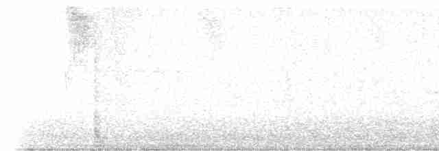 Красношейный толстонос - ML617280945
