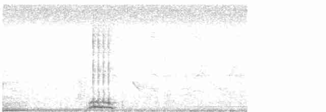 Калифорнийская кукушка-подорожник - ML617281216