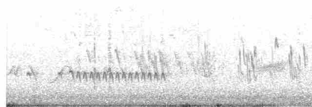 Chaparralgrasmücke - ML617281494