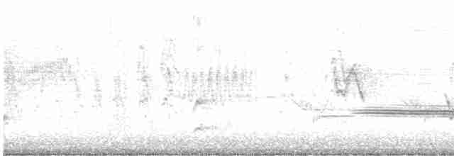 Turuncu Ardıç - ML617282490