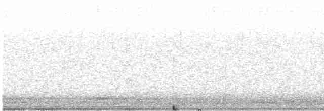 Черноспинный трёхпалый дятел - ML617282975