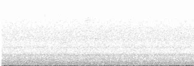 טואי אדום-עין - ML617283625