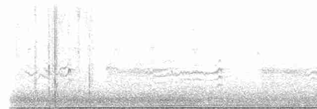 Râle à poitrine grise - ML617285019