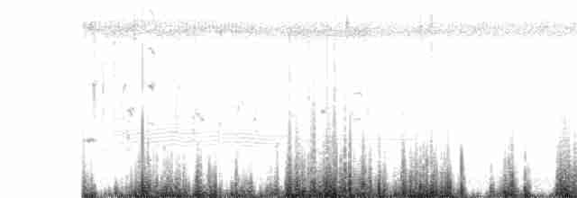 セスジツバメ - ML617285663