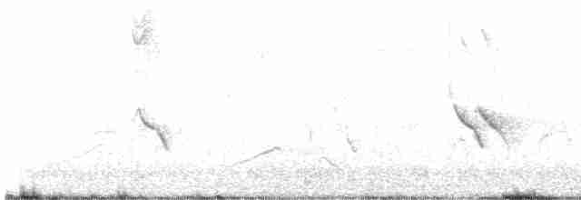 Evening Grosbeak (type 1) - ML617287609